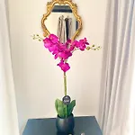 The Flower B&B